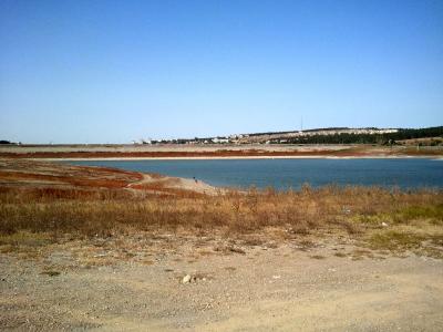 Прикрепленное изображение: 2020-09-21 14.24.23.jpg